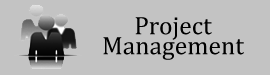 Project Management Tag - Consulting Firm